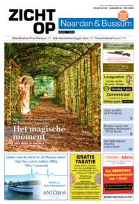 Zicht Op Naarden/Bussum